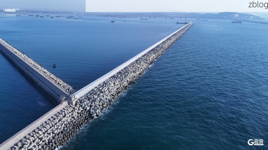 武清区：京津走廊枢纽下的疫情防波堤