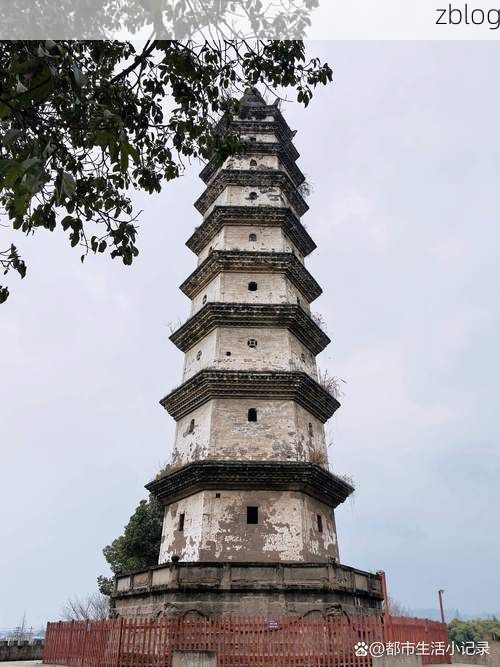 【岳池：川东门户的疫情防波堤】