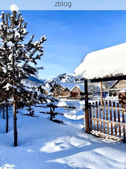 阿勒泰：极寒边陲的零感染防线