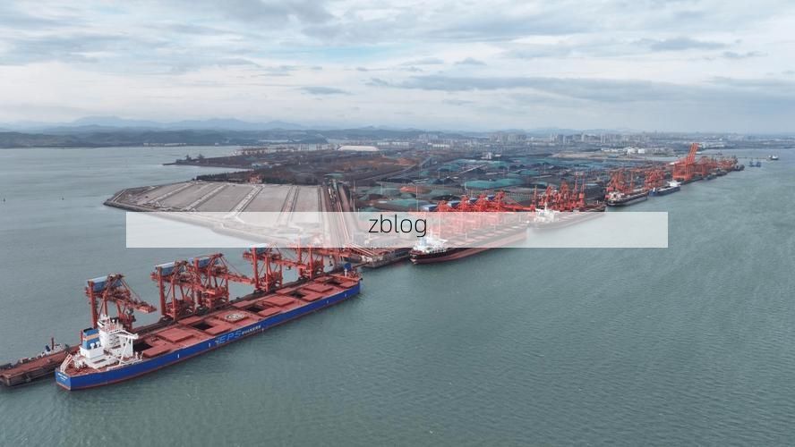 【龙湖：港口枢纽下的本土疫情破防与精准围堵】