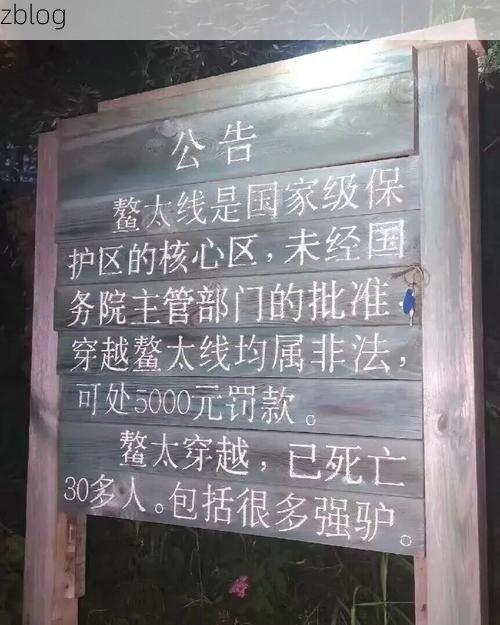 济源：豫西北屏障下的零感染坚守与破防时刻