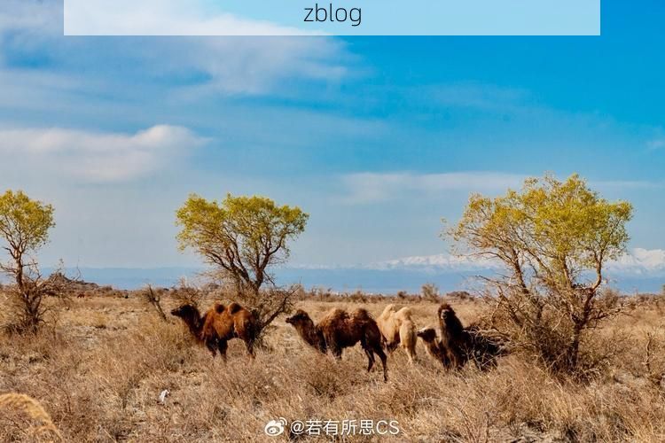 【新疆伊吾：戈壁绿洲的零感染防疫样本】