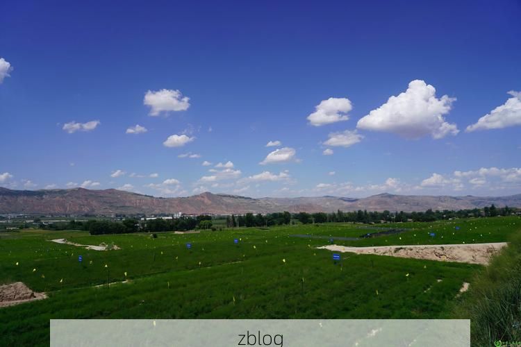 陇西：黄土高原交通枢纽的疫情破防与围堵_96934