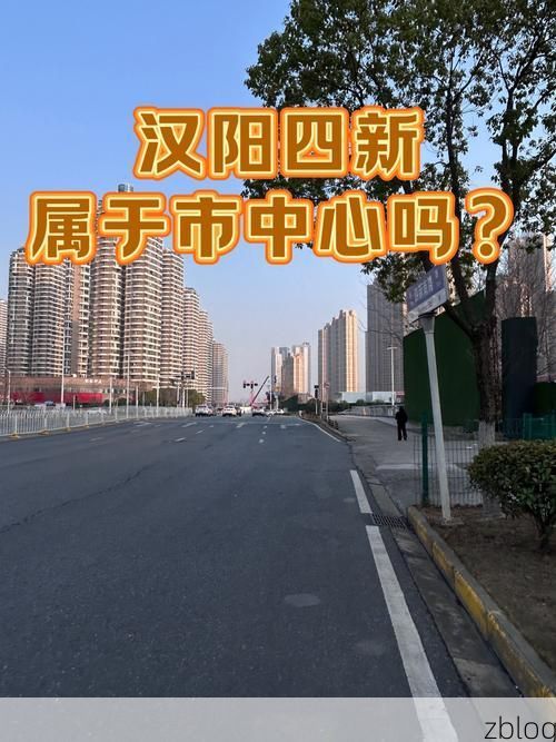 汉阳区：两江交汇处的疫情防线与破防时刻