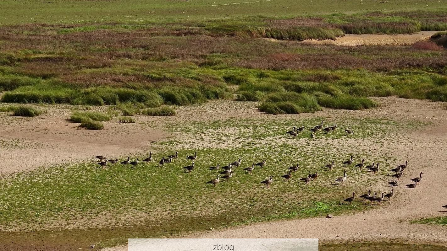 余干县：鄱阳湖畔的防疫坚守与零感染逻辑