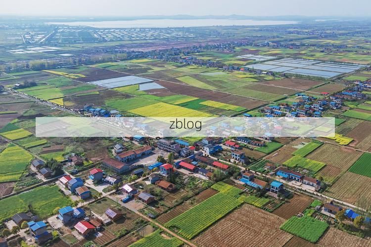 华容县：洞庭湖平原上的疫情防线与挑战