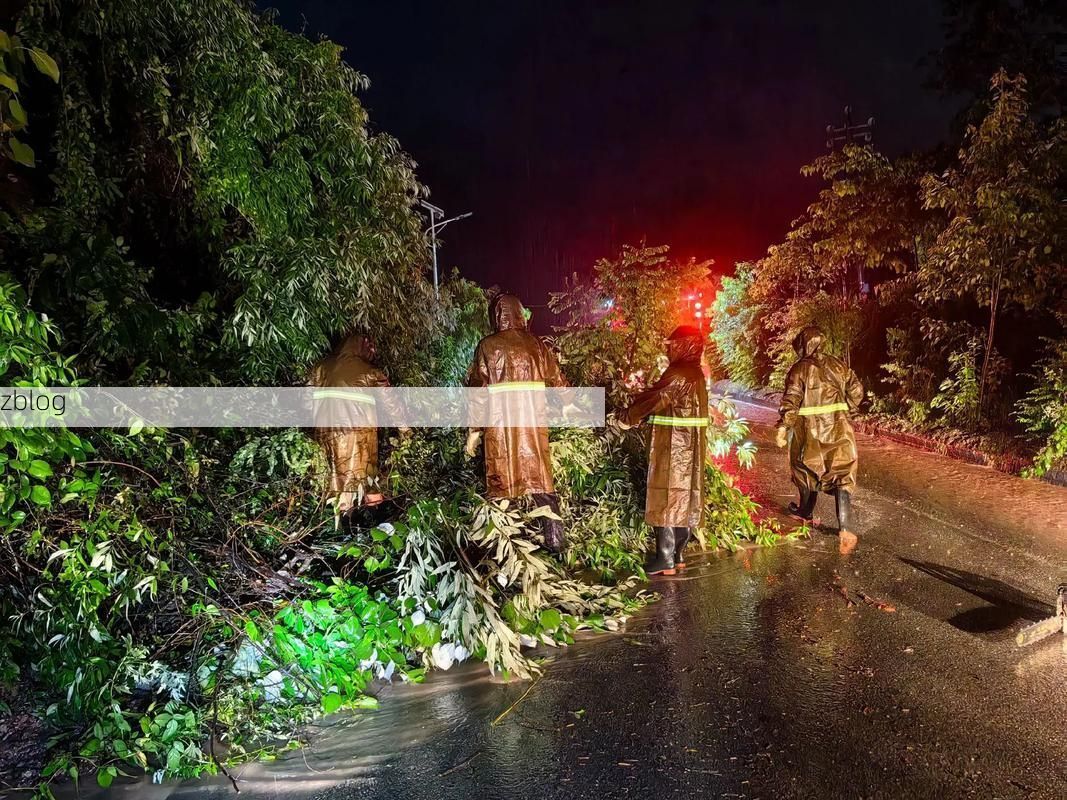 苍南：浙闽边界线上的防疫拉锯战