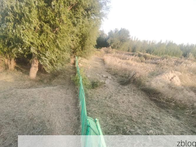 延津小麦平原上的零感染坚守：地理屏障与社区网格的双重防线_80626