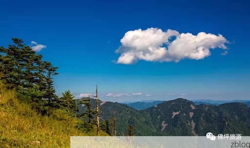 边境小城的防疫压力测试：和龙如何守住零感染防线？