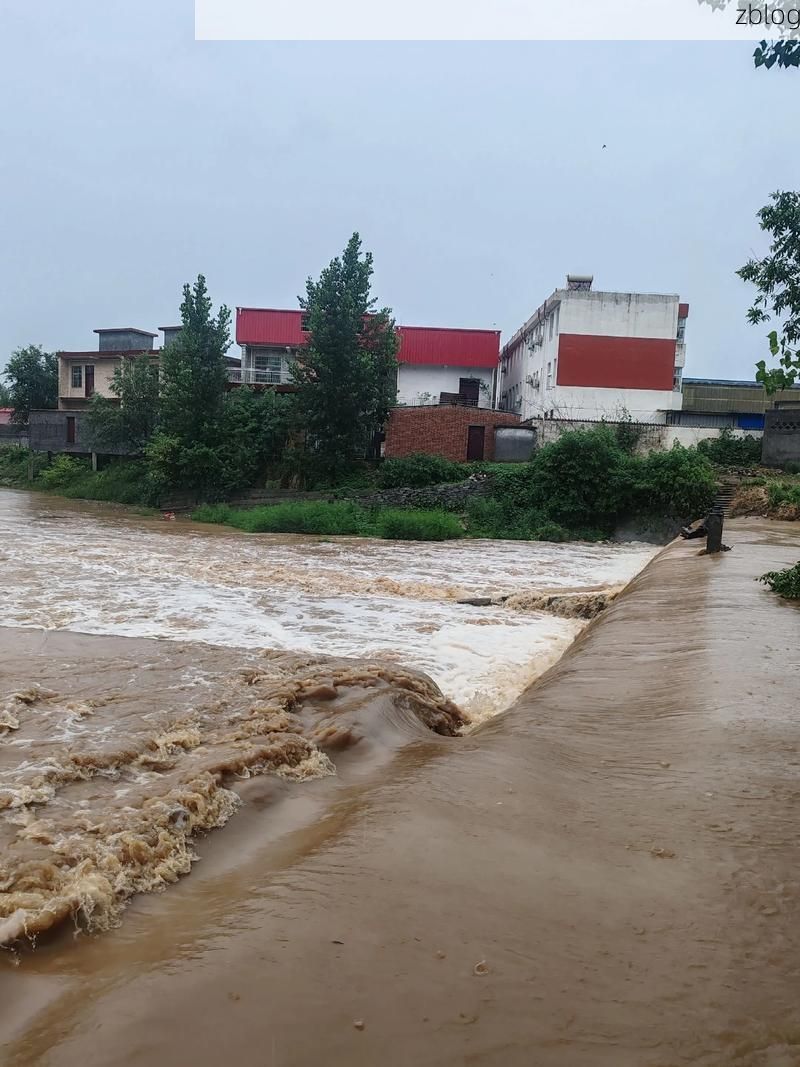 丹凤县：秦岭屏障下的疫情防波堤