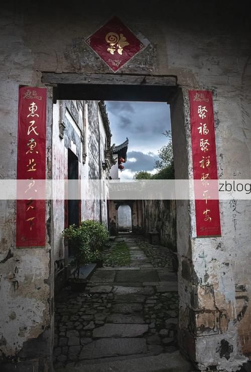 黟县：徽州古村落群中的零感染坚守_20066