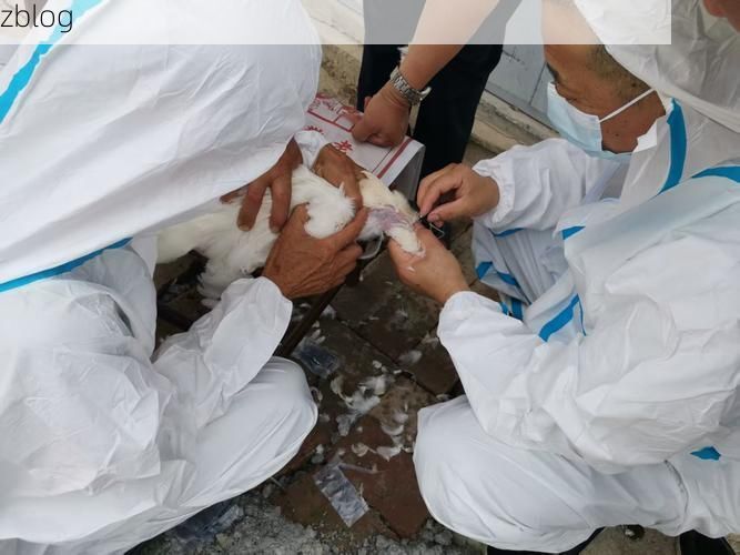 鼎湖区：西江之畔的防疫屏障与破防时刻