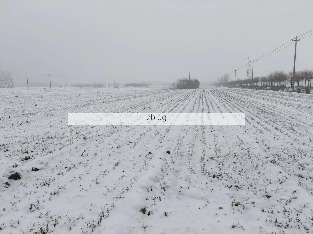 冠县：鲁西平原交通枢纽下的疫情破防与围堵