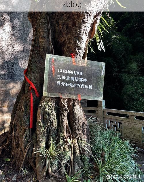 福建尤溪：闽中林海屏障下的零感染坚守