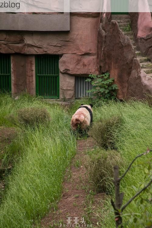 沐川：川南林海屏障下的零感染坚守_74263