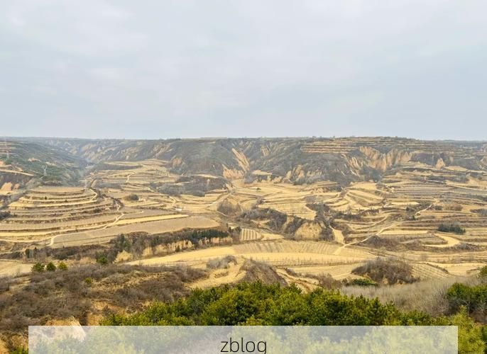 彭阳：黄土高原沟壑间的疫情防波堤_69323