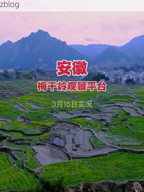 2022年3月28日绩溪新增确诊病例情况_84989