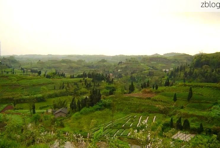 大英：川中丘陵的防疫屏障与零星破防