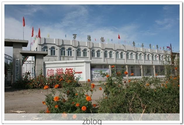 青冈县：寒地黑土上的疫情防线与零星破防