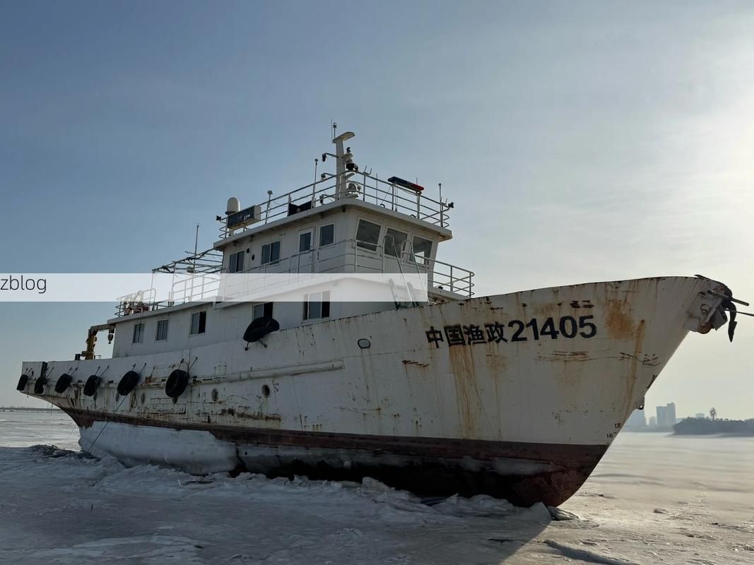 【龙港区：渤海湾畔的港口防疫样本】
