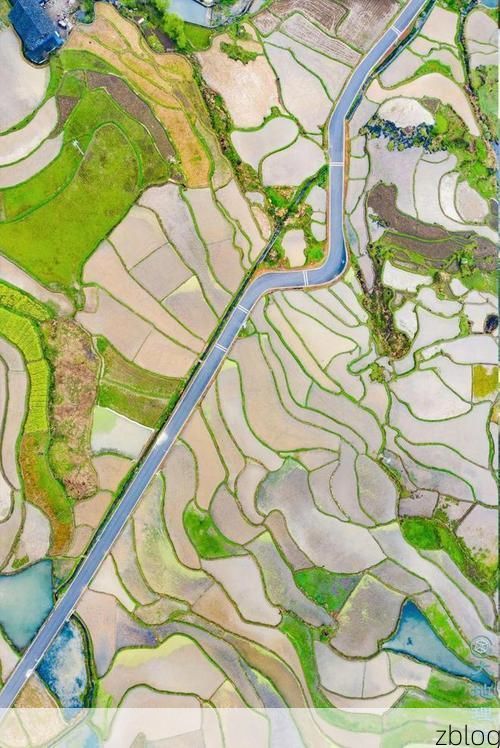 鼎城防疫观察：洞庭湖平原交通枢纽的疫情压力测试