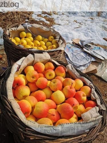 济源：太行屏障下的零感染坚守与破防时刻_59894