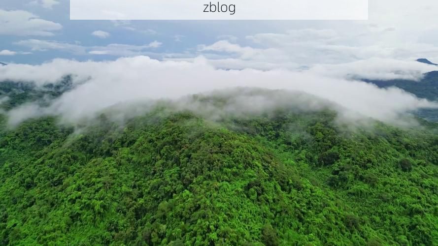 【保亭：热带雨林屏障下的零感染坚守】