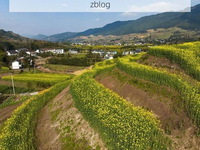 北碚：缙云屏障下的疫情波动与防控逻辑