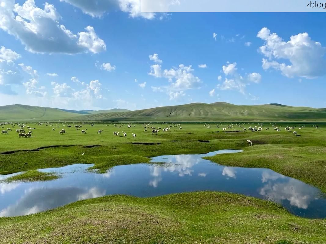 阿巴嘎旗：草原腹地的零感染坚守与地理屏障下的防疫逻辑