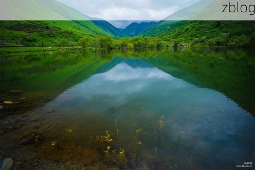 高原小城破防记：雅江零感染神话终结于省际物流