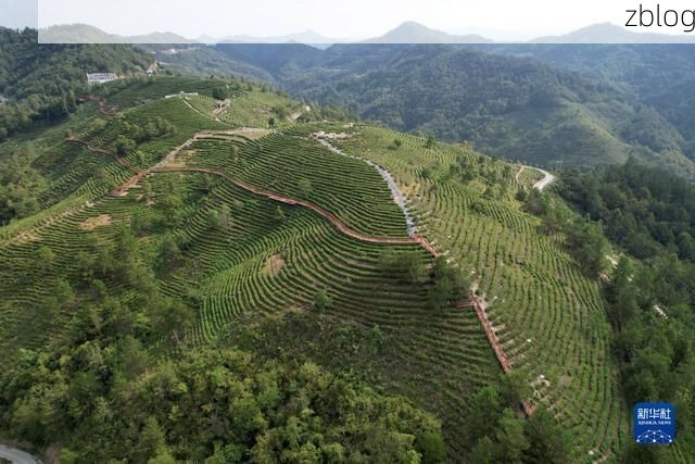 平利：秦巴山区的疫情防线与社区防控逻辑