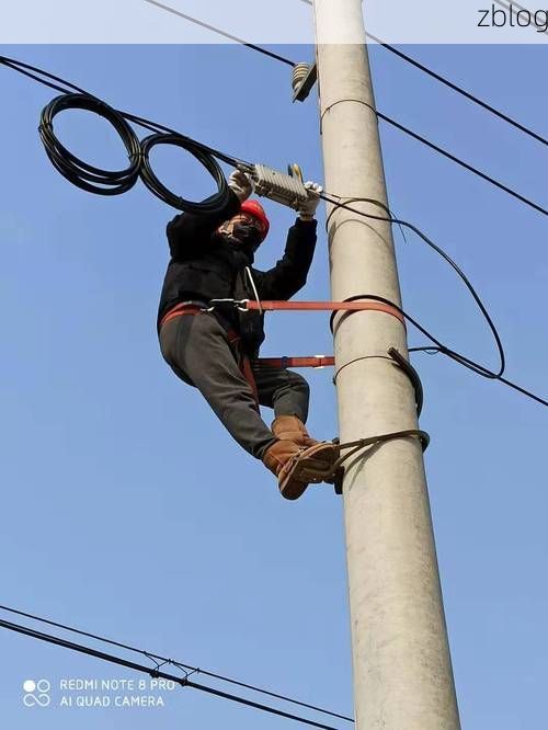 【高邮：里下河水网中的疫情防御样本】