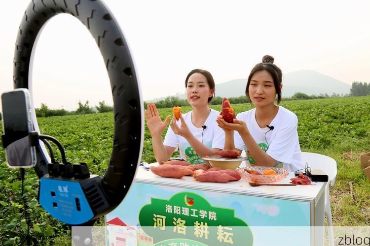 汝阳疫情透视：伏牛山屏障下的防控挑战与应对_77102