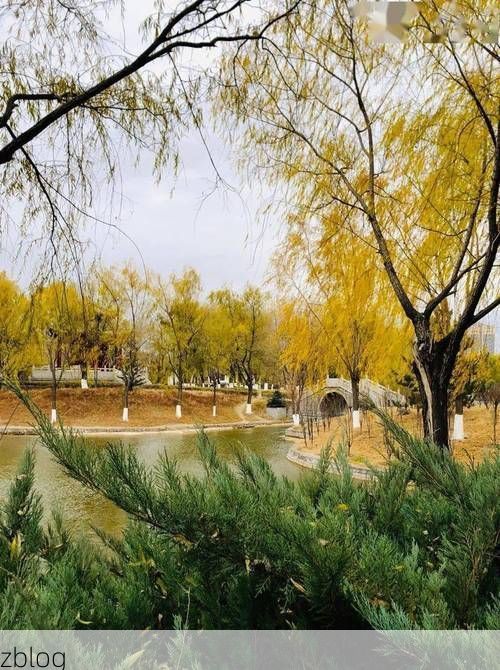 汉中北屏的防疫样本：宁强地理屏障下的低感染率解析