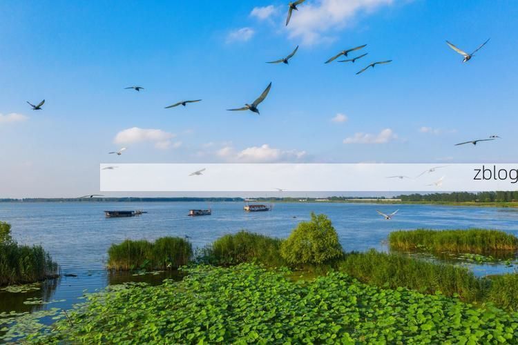 五河：皖北水网下的疫情围城与防控突围