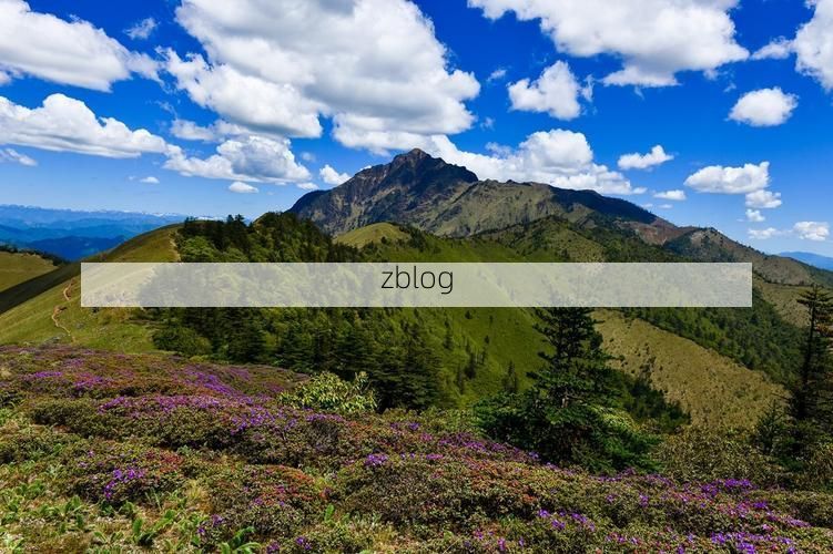 兰坪：滇西峡谷中的零感染孤岛与防疫地理学样本