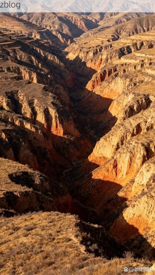 宝塔区：黄土高原沟壑地形下的疫情流调挑战
