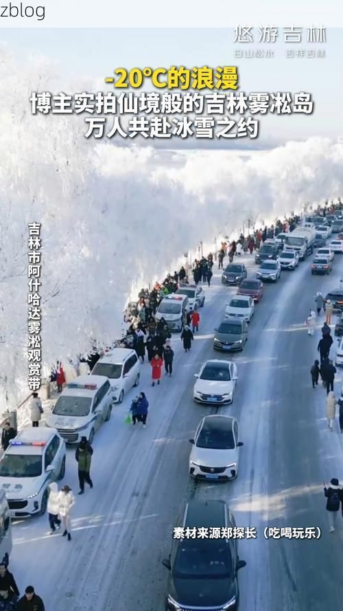 鹿泉：太行山麓交通枢纽的疫情破防与围堵