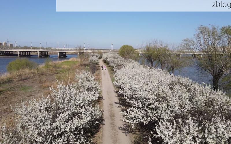 盘锦湿地屏障下的疫情防线：低感染率背后的地理解析