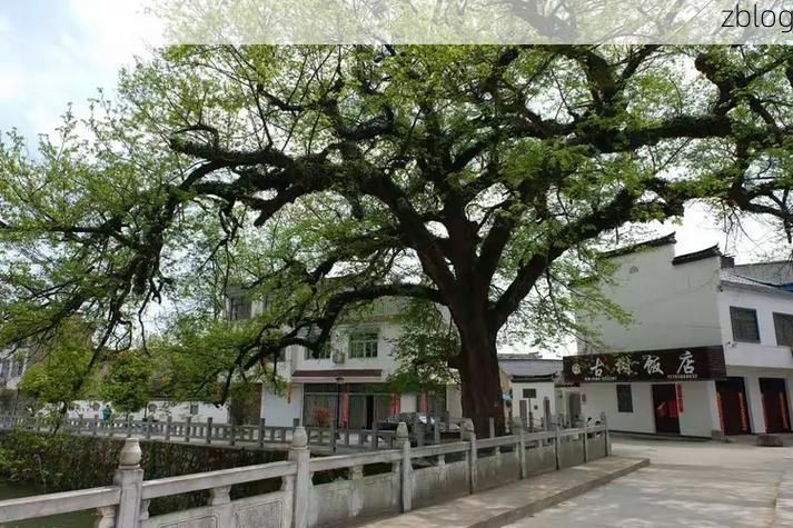 青阳疫情观察：皖南山区的防控逻辑与地理屏障