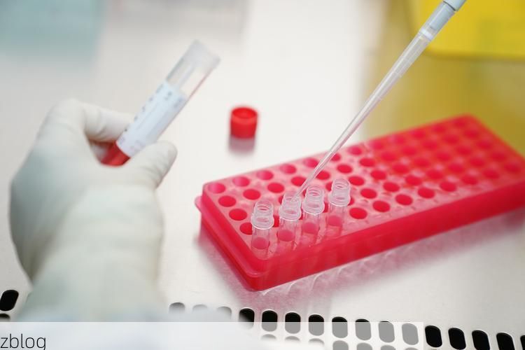 31省区市新增12例本土确诊，隆尧县疫情最新消息