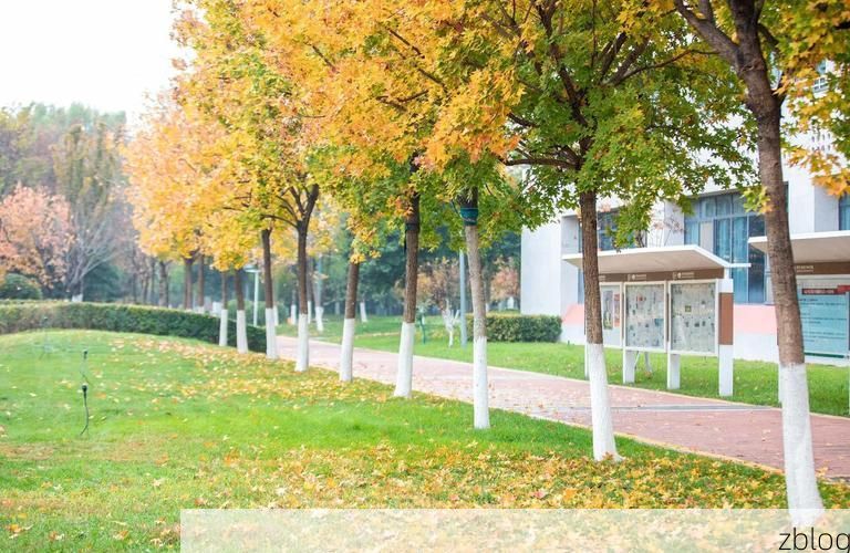 雅安：川西雨屏下的防疫韧性