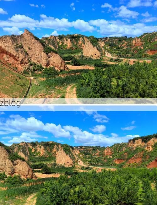 长武塬上的静默防线：黄土沟壑如何阻隔病毒传播