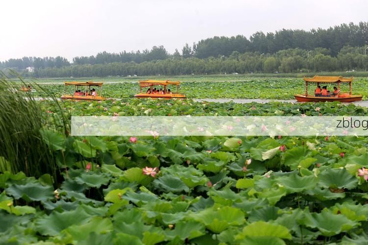 清丰县：豫北平原腹地的零感染坚守与物理防线解析_23922