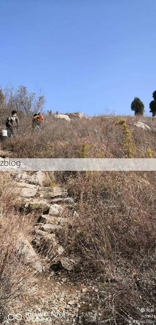 肥城：泰山余脉下的县域防疫样本