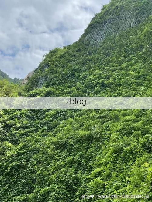 南平山城屏障：闽北林海间的零感染坚守