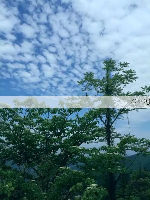 中方县疫情观察：雪峰山屏障下的县域防控样本