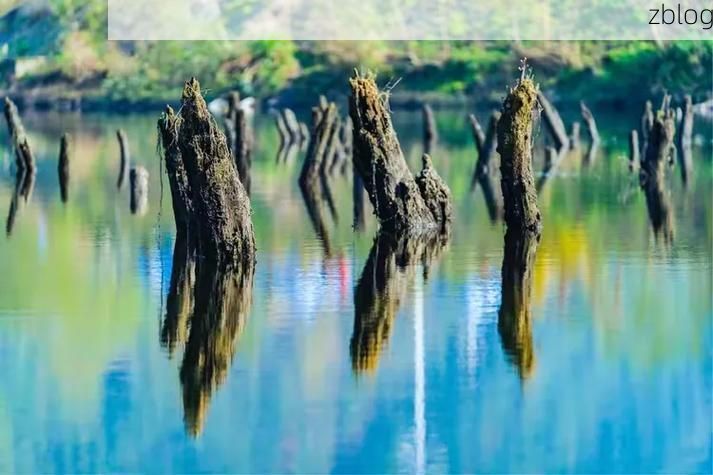 宣城：皖南山地屏障下的低感染样本解析