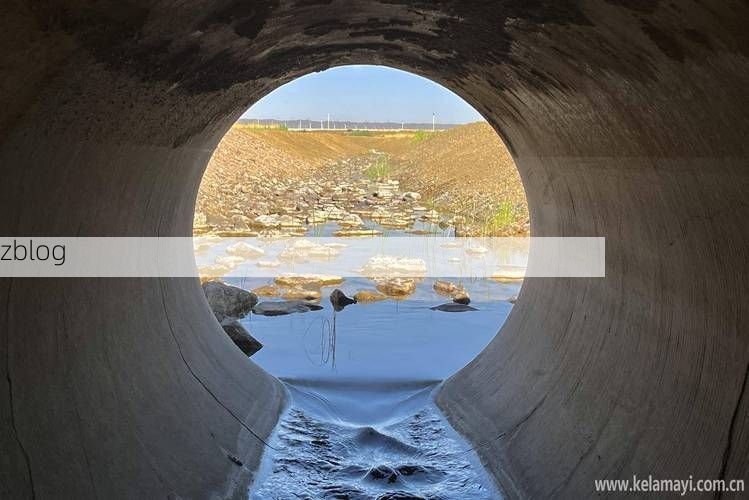 【绵阳：四川盆地北缘的疫情防波堤如何筑成？】