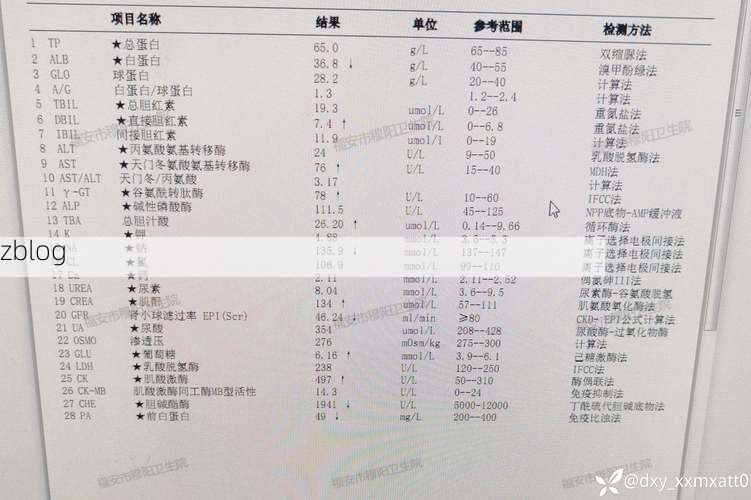 2022年10月28日爱辉区新增确诊病例情况